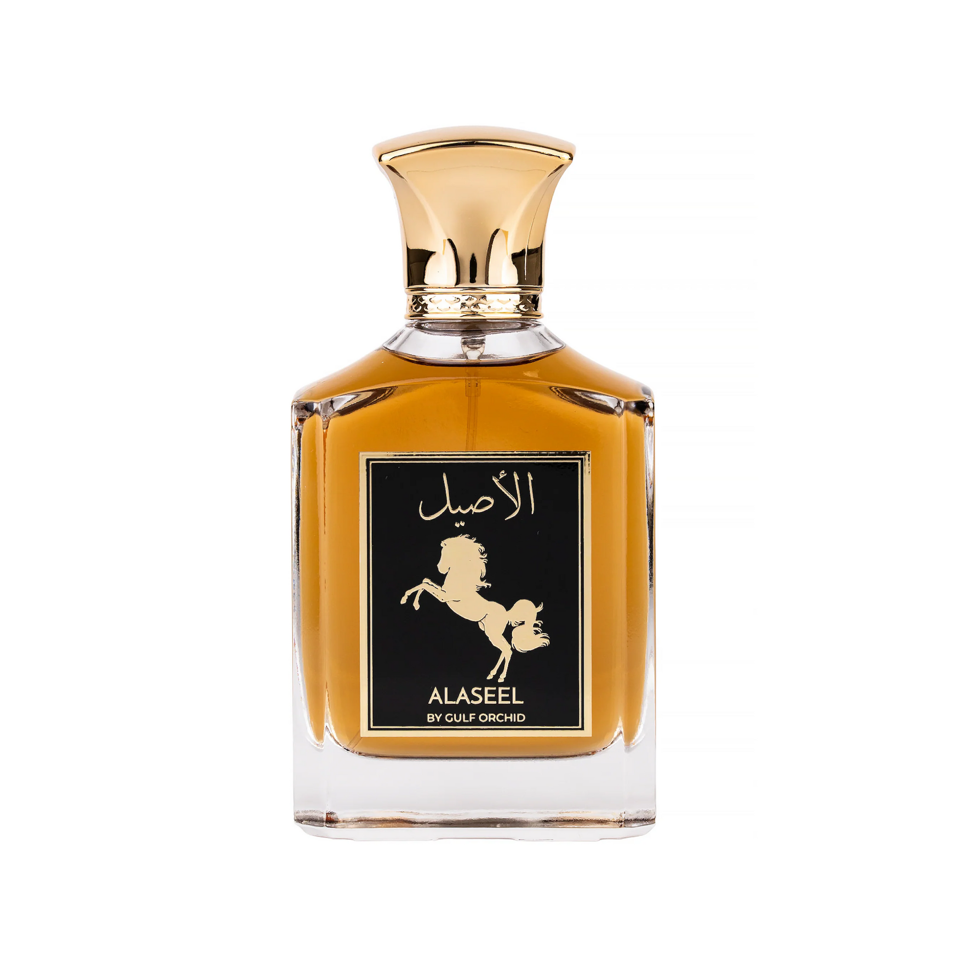 Gulf Orchid Alaseel Eau De Parfum Perfumes  Citrus, Dry Wood  Lily Of The Valley, White Floral, Rose Tonka Beans, Vanilla Roots