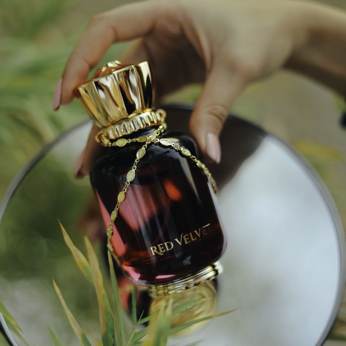 Maison Asrar RED VELVET Perfumes